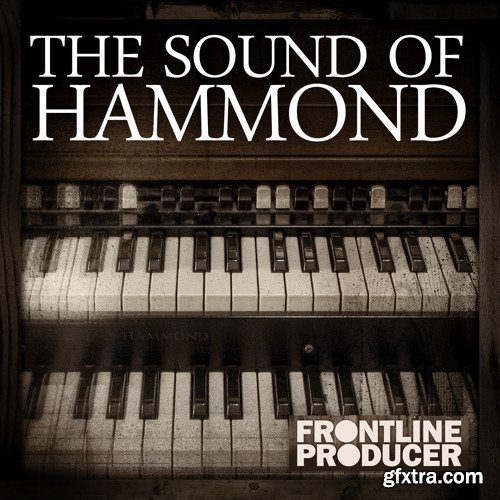 Frontline Producer The Sound Of Hammond WAV REX-FANTASTiC