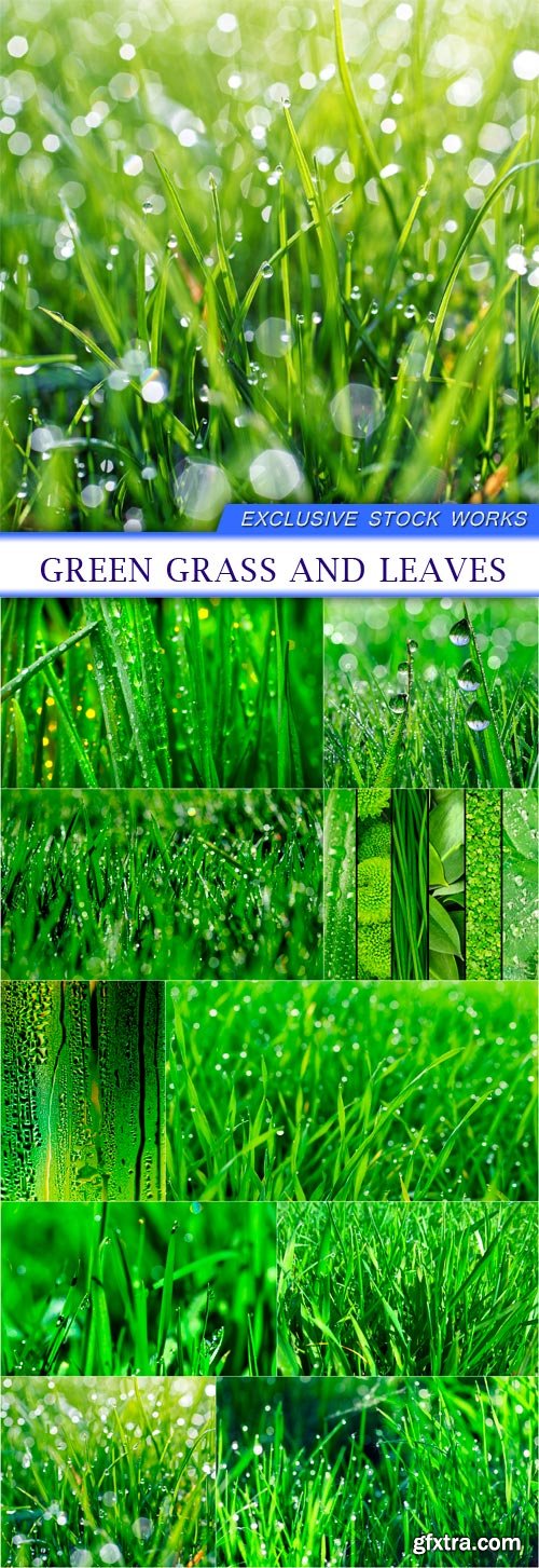 green grass and leaves 10X JPEG