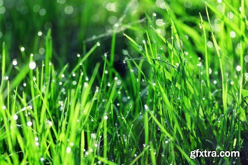 green grass and leaves 10X JPEG