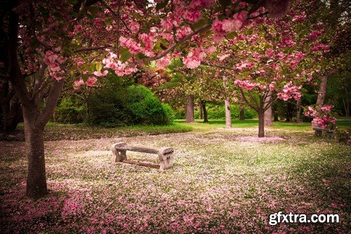 Beautiful garden - 5 UHQ JPEG