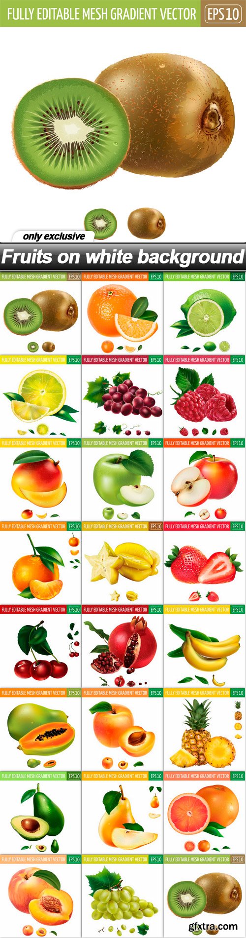 Fruits on white background - 23 EPS