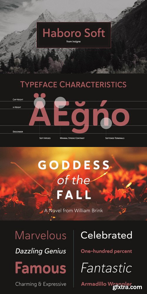 Haboro Soft Font Family $249