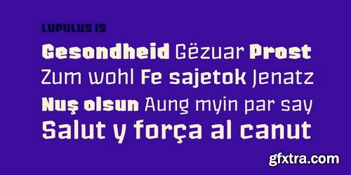 Lupulus Font Family $260