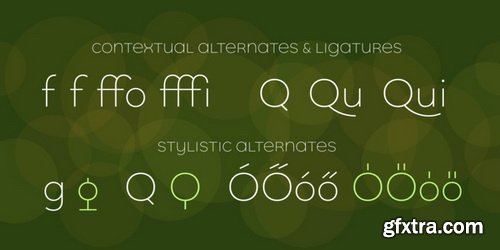 Quinoa Font Family $199