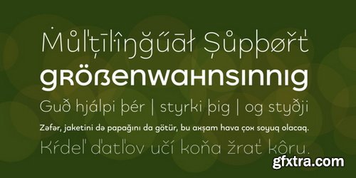 Quinoa Font Family $199