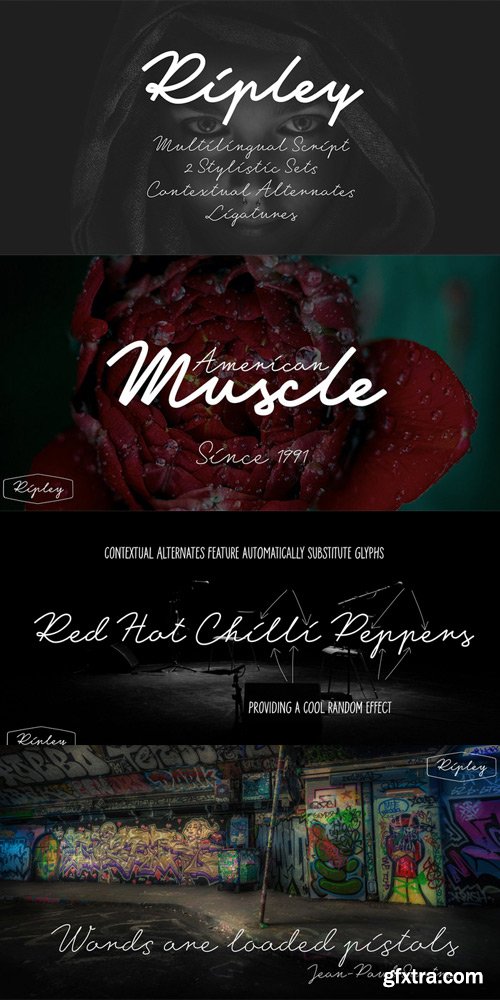 Ripley Font Family $26