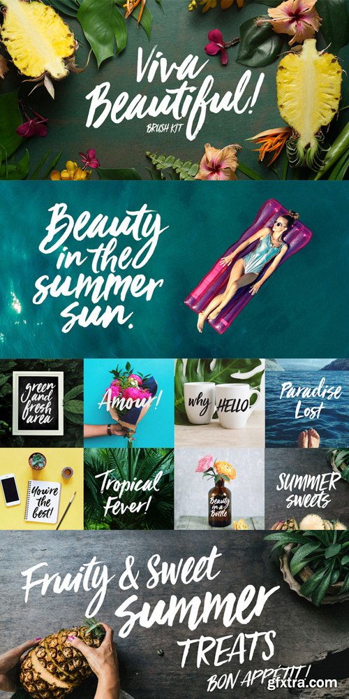 Viva Beautiful Font Family $102