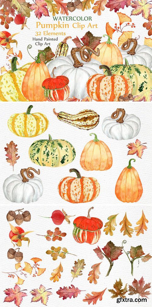 CM - Watercolor pumpkin clipart 791001