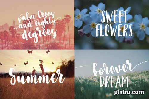 CreativeMarket Cornflower DUO 730181