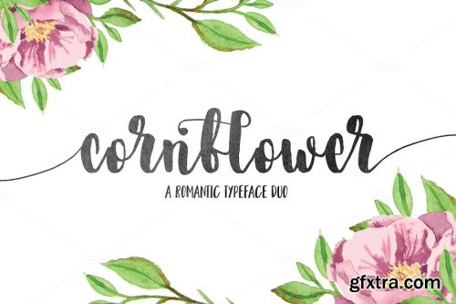 CreativeMarket Cornflower DUO 730181