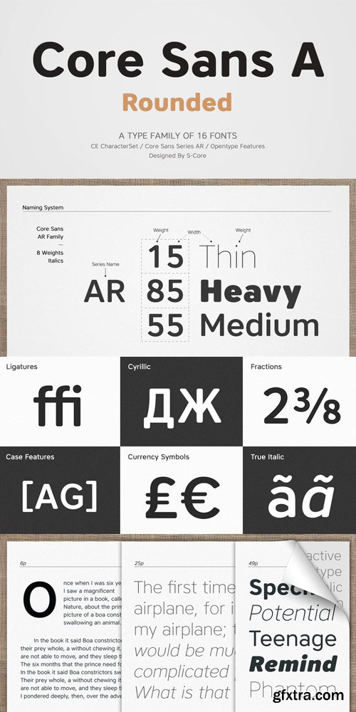 Core Sans AR Font Family $159