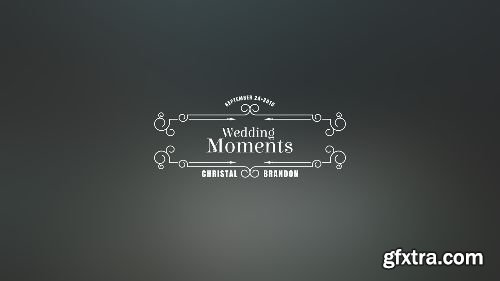 Videohive 100 Luxury Wedding Titles 12245773