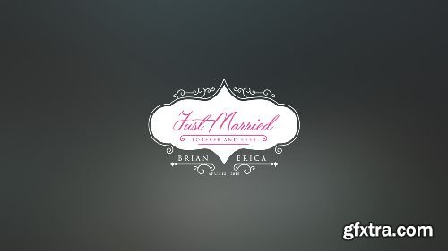 Videohive 100 Luxury Wedding Titles 12245773