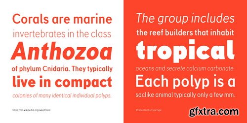 TT Corals Font Family $140