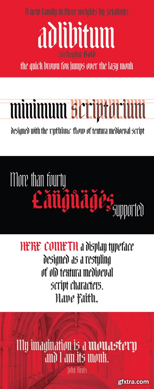 Adlibitum Font Family $199