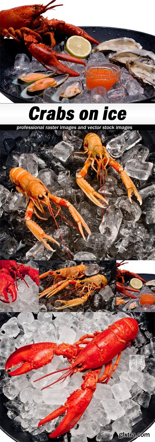 Crabs on ice - 5 UHQ JPEG