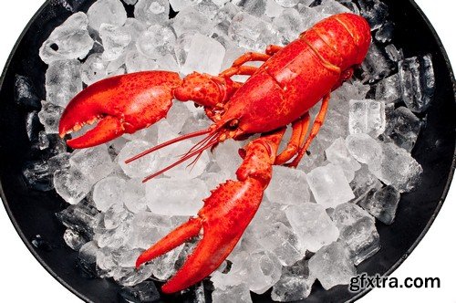 Crabs on ice - 5 UHQ JPEG