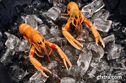 Crabs on ice - 5 UHQ JPEG