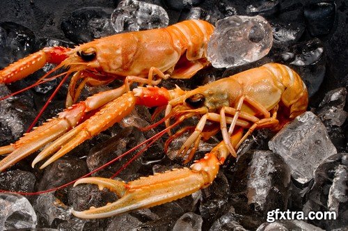 Crabs on ice - 5 UHQ JPEG