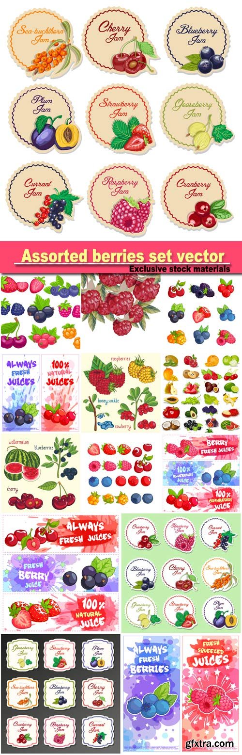 Assorted berries set vector illustration, set labels for jam from berries