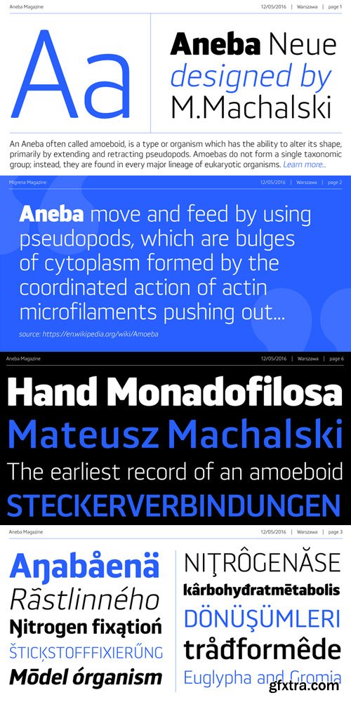 Aneba Neue Font Family $150