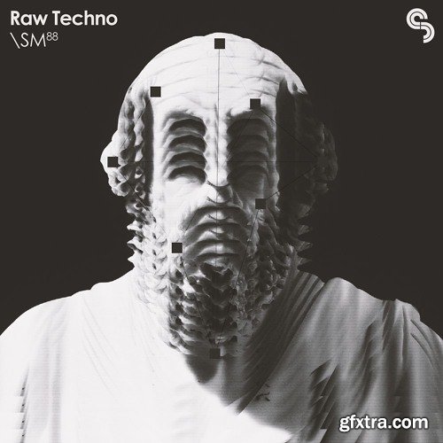 Sample Magic Raw Techno MULTiFORMAT-FANTASTiC