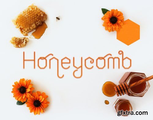 Honeycomb Font Family