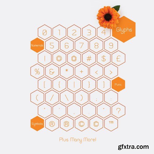 Honeycomb Font Family