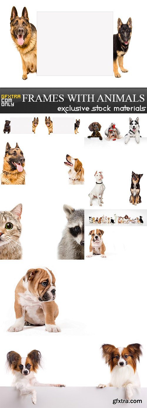 Frames with animals, 10 x UHQ JPEG