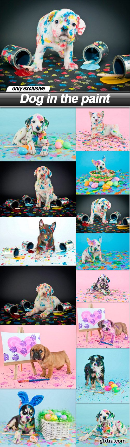 Dog in the paint - 14 UHQ JPEG