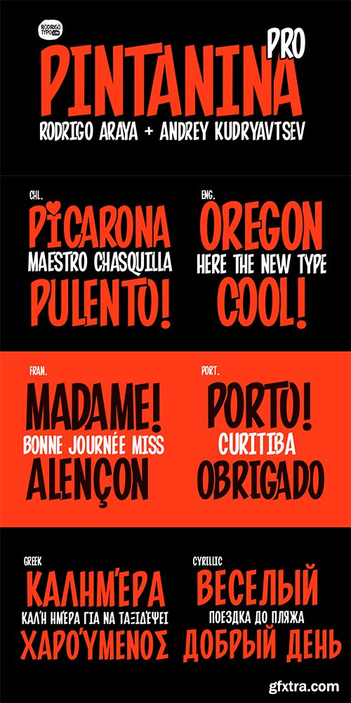 Pintanina Pro Font Family - 2 Fonts $50