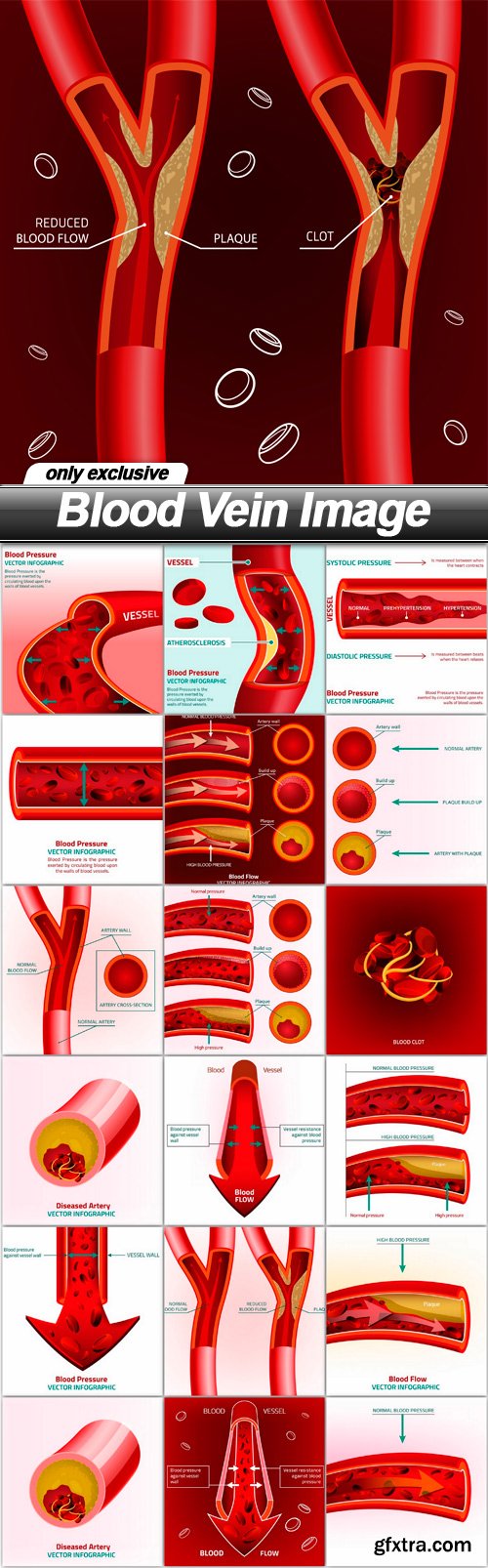 Blood Vein Image - 19 EPS