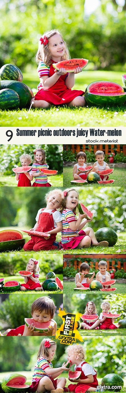 Summer picnic outdoors juicy Water-melon