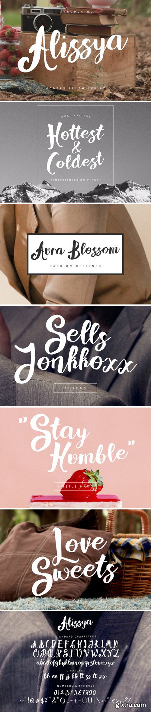 CM - Alissya Script Script Font 827091