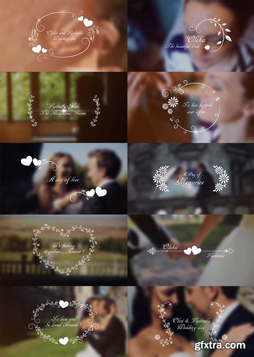 Videohive - Wedding Titles - 17267979