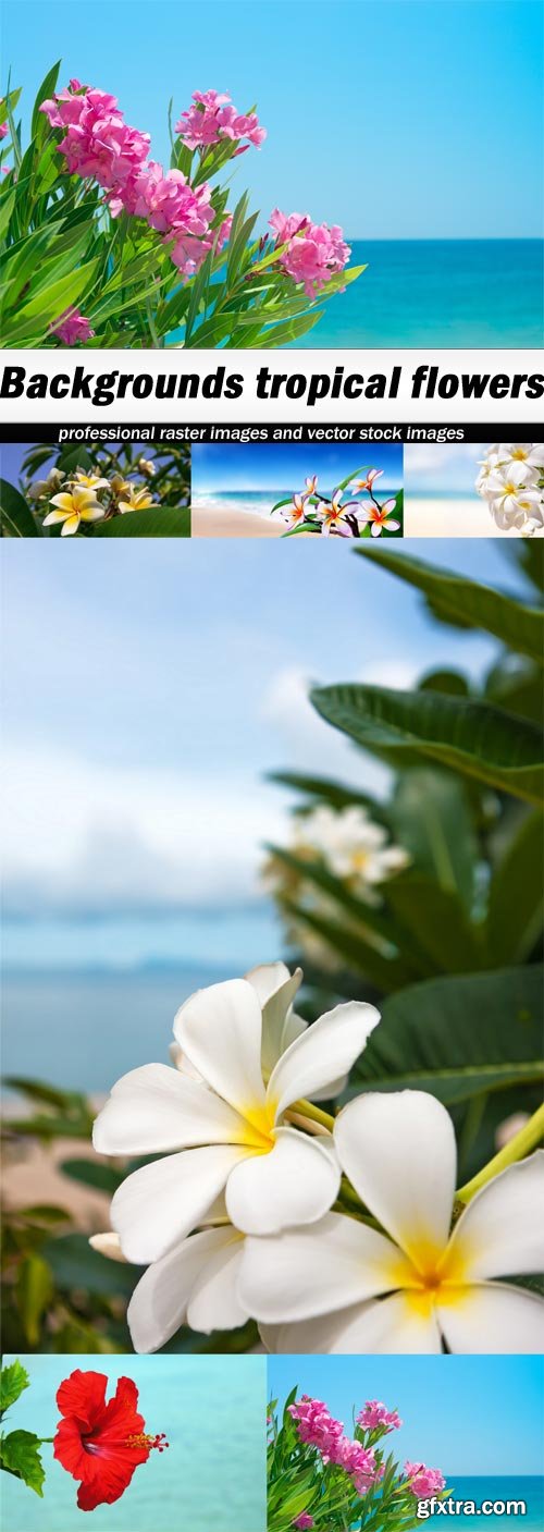 Backgrounds tropical flowers - 6 UHQ JPEG