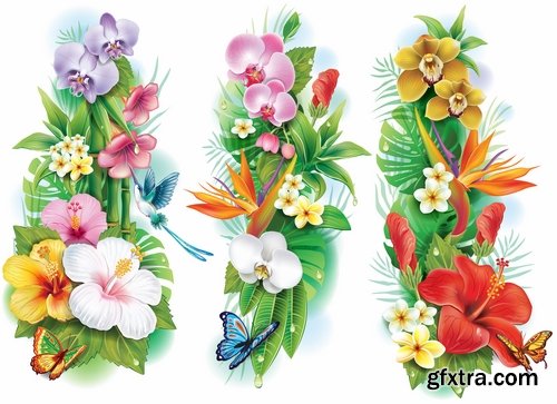 Collection of flowers bouquet of roses painted tulip vase Orchid Carnation 25 EPS