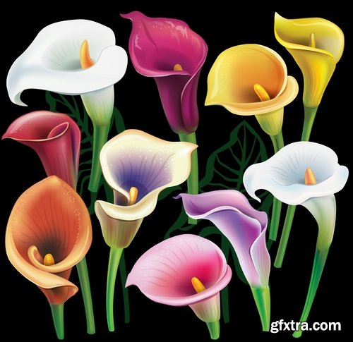 Collection of flowers bouquet of roses painted tulip vase Orchid Carnation 25 EPS