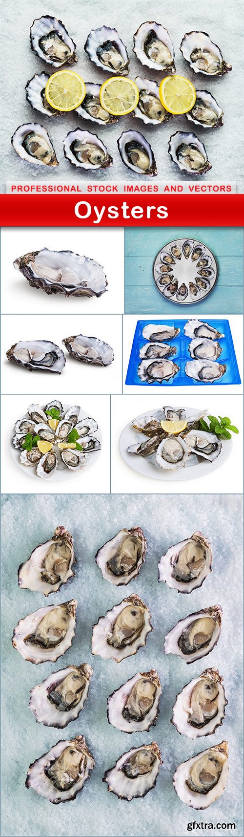 Oysters - 8 UHQ JPEG