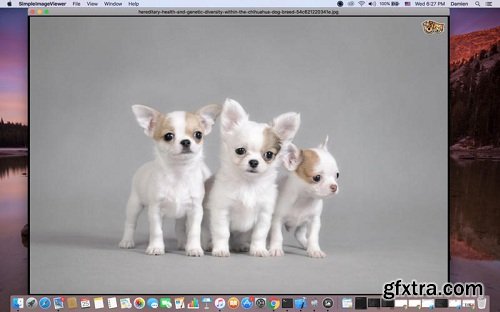 Hot Simple Image Viewer 1.3 (Mac OS X)