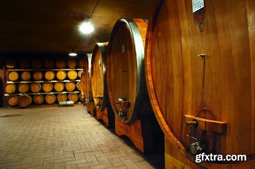 Collection wine cellar barrel room capacity basement 25 HQ Jpeg