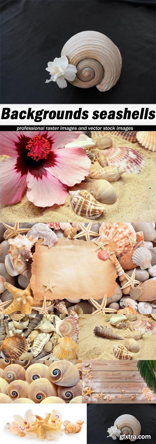 Backgrounds seashells - 8 UHQ JPEG