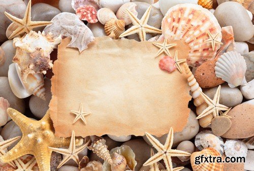 Backgrounds seashells - 8 UHQ JPEG