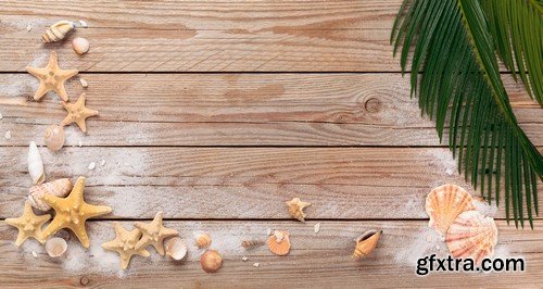 Backgrounds seashells - 8 UHQ JPEG