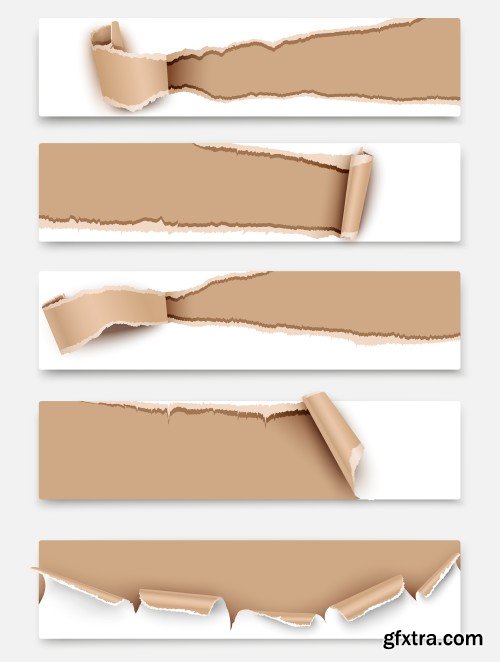 Torn paper vector