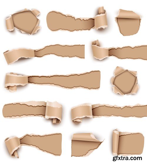 Torn paper vector