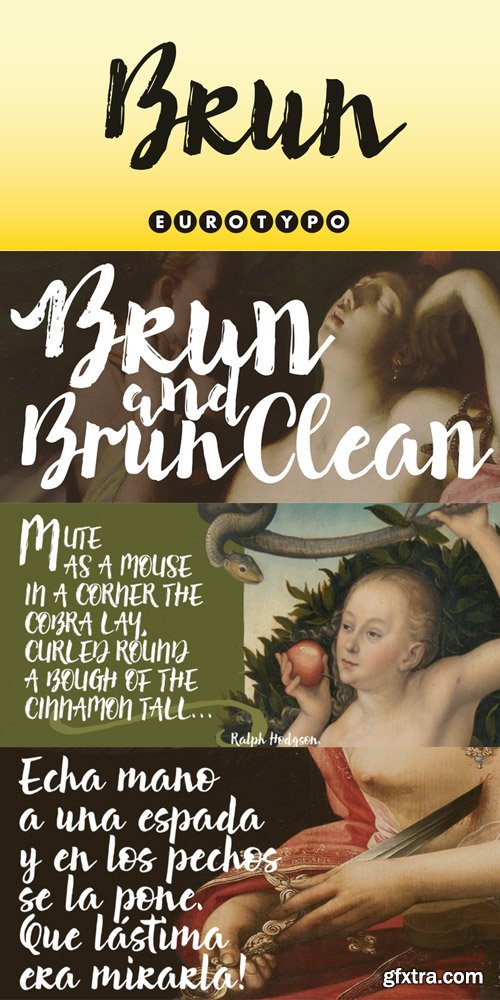 Brun Font Family $44