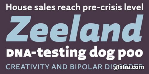 Laski Sans Font Family $440