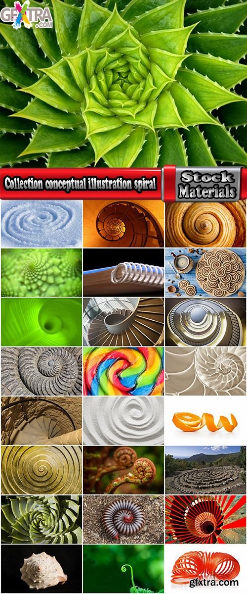 Collection conceptual illustration spiral staircase shell flower 25 HQ Jpeg