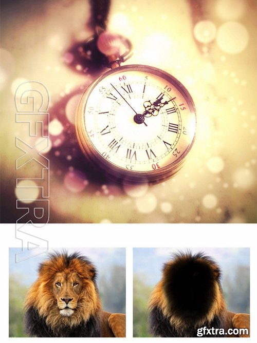 GraphicRiver - Advanced Soft Focus Photoshop Action 17382102